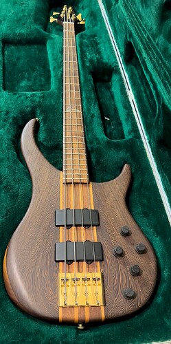 Saulo's bass 1