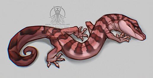 Lizard