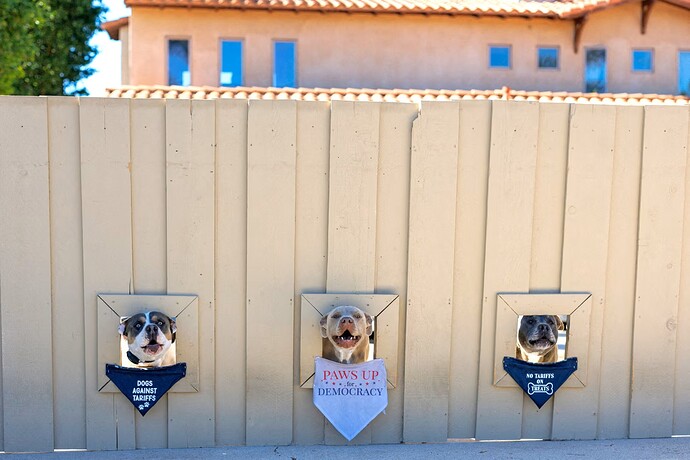 Buddy, Penny and Honey