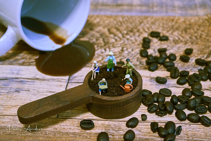 Coffee farmers