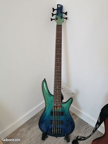 Ibanez sr875