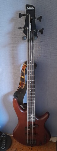 Ibanez bass