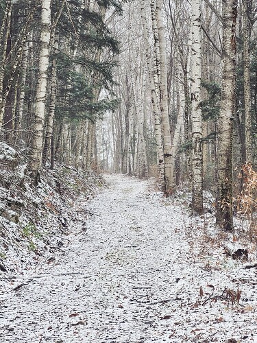 NH_11-12-25_white_Mtns