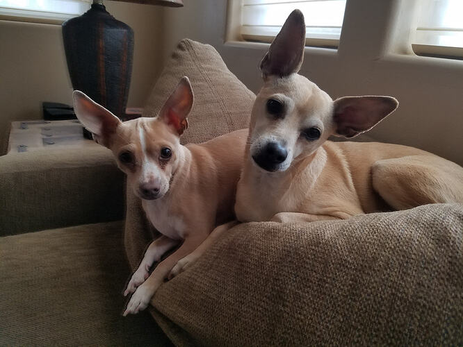 Ollie and Peanut