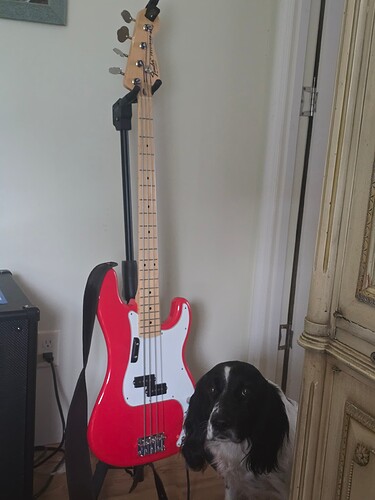 17575241492353598449882001730257