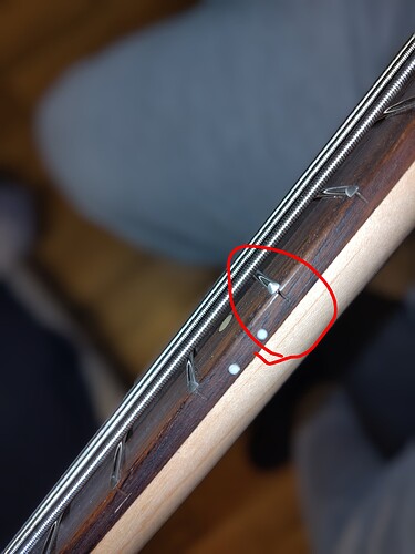 IMG_20251006_114809~2