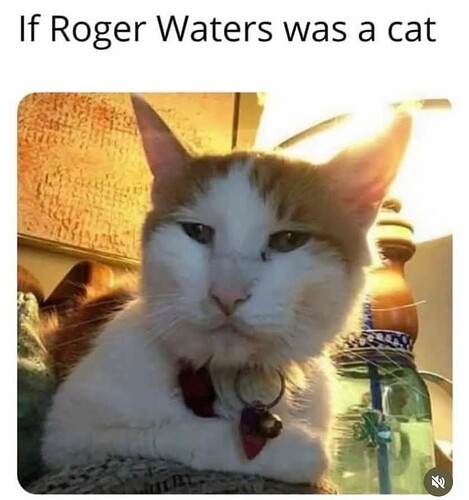 17358481058619154652015749497006
