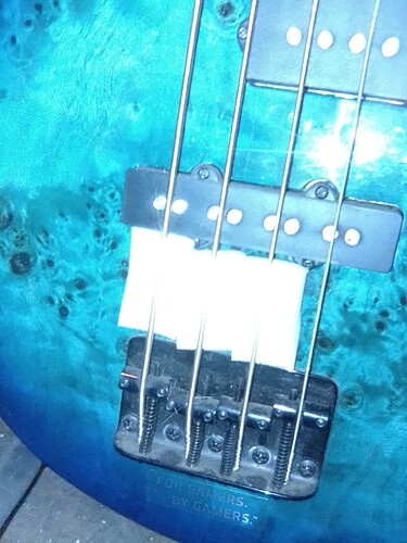 sponges
