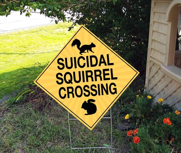 Screenshot_20251015-193746