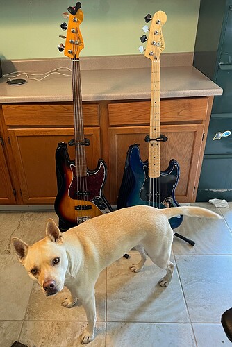 IMG1121crcrZooey2basses