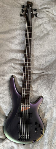 new bass