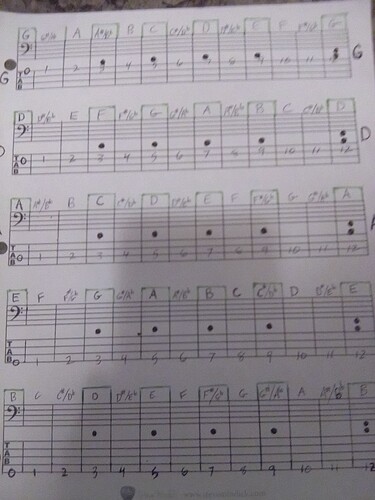 NeckNotes