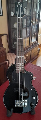 Blackstar Carry-on Travel Bass