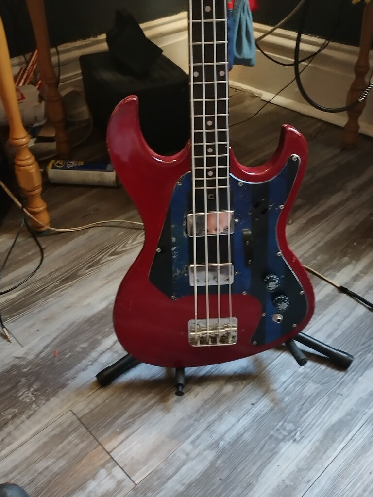 My Harmony H906 medium scale bass Gear BassBuzz Forum