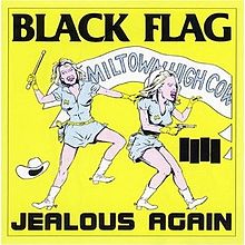 220px-Black_Flag_-_Jealous_Again_cover