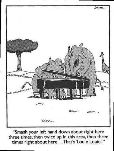 Elephant on piano