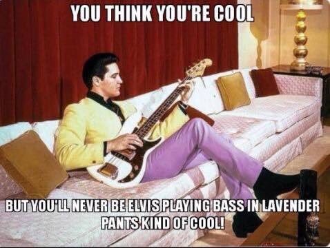 elvis