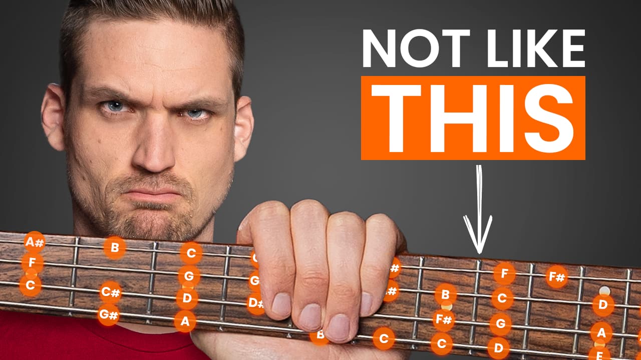 Bass Scales for Beginners (5 Stupidly Simple Steps) - BassBuzz Forum