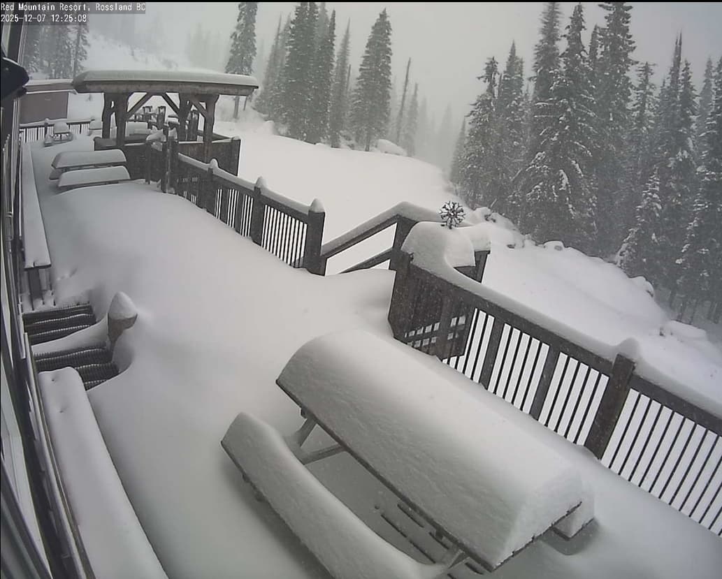 Screen Shot 2025-12-07 at 12.29.47 PM