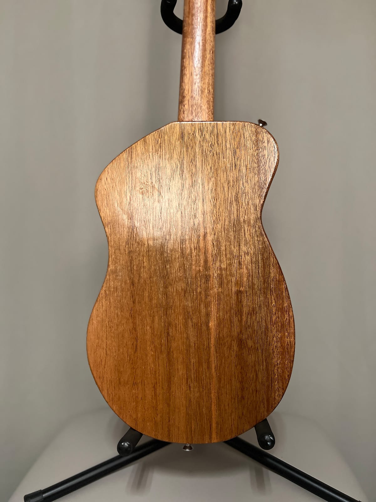 Show Us Your Basses (Part 2) - Page 56 - Gear - BassBuzz Forum