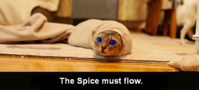 Spice Must Flow